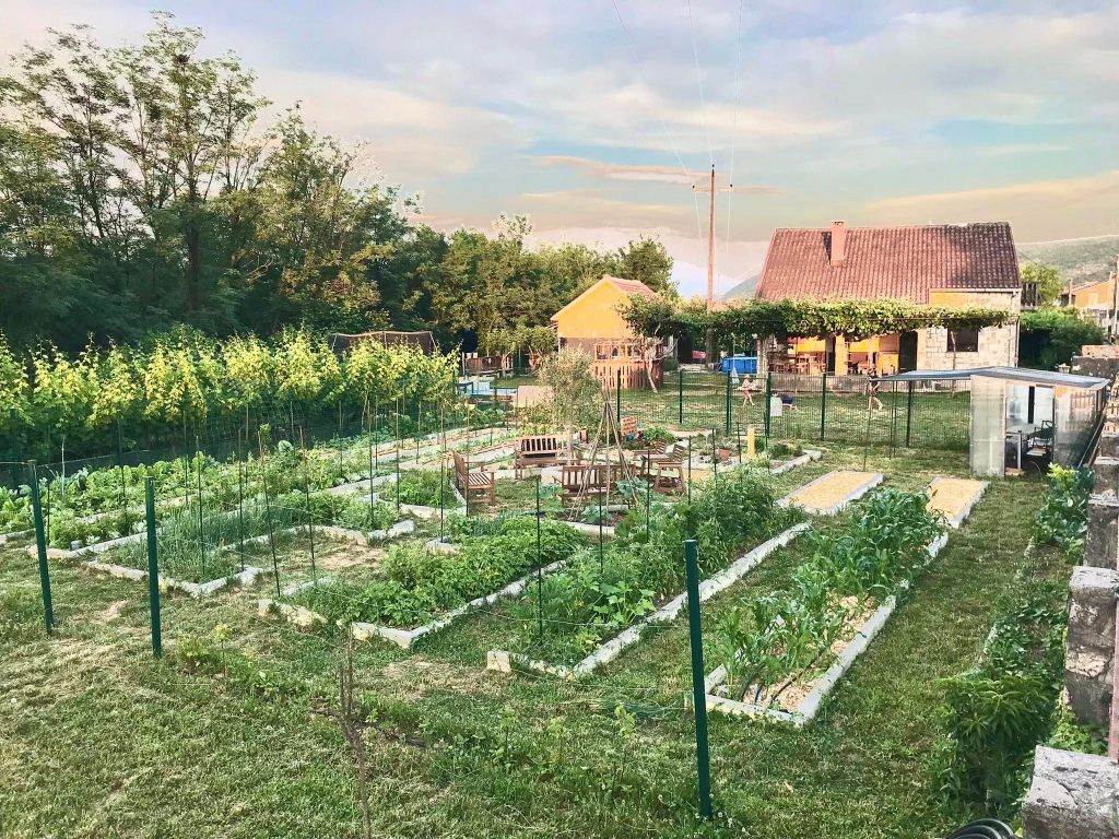Community Garden